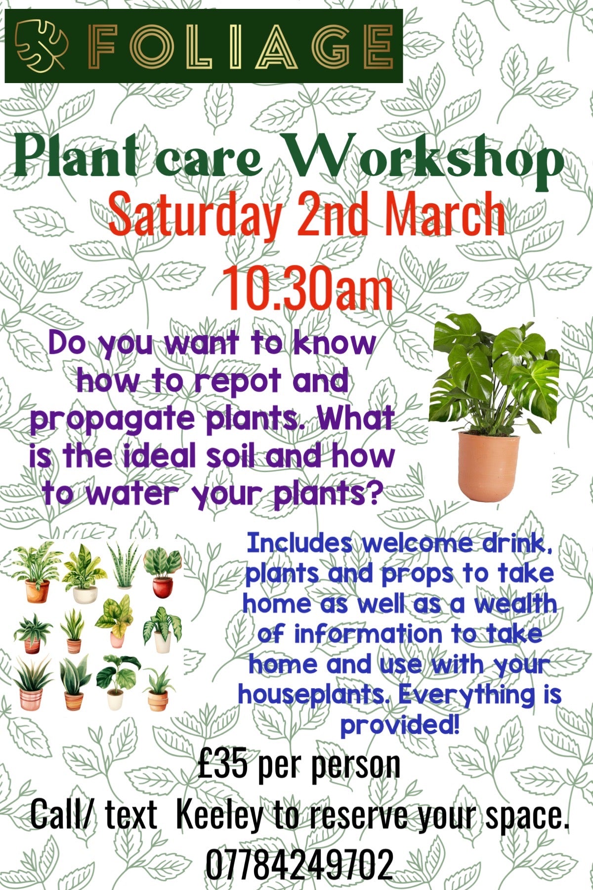 Plant Care Workshop Saturday 2nd March 10.30am